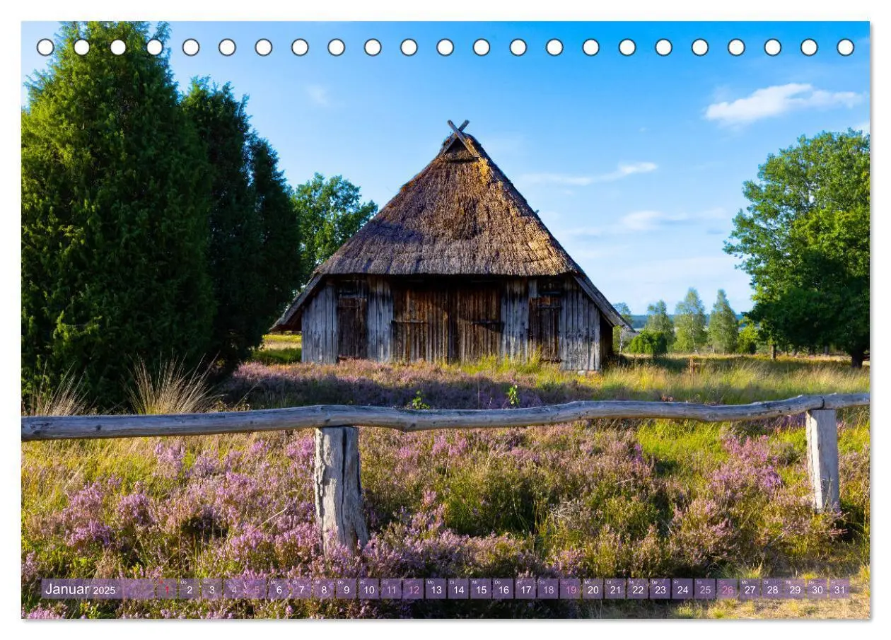 Bild: 9783383831355 | Im Blütenrausch der Lüneburger Heide (Tischkalender 2025 DIN A5...