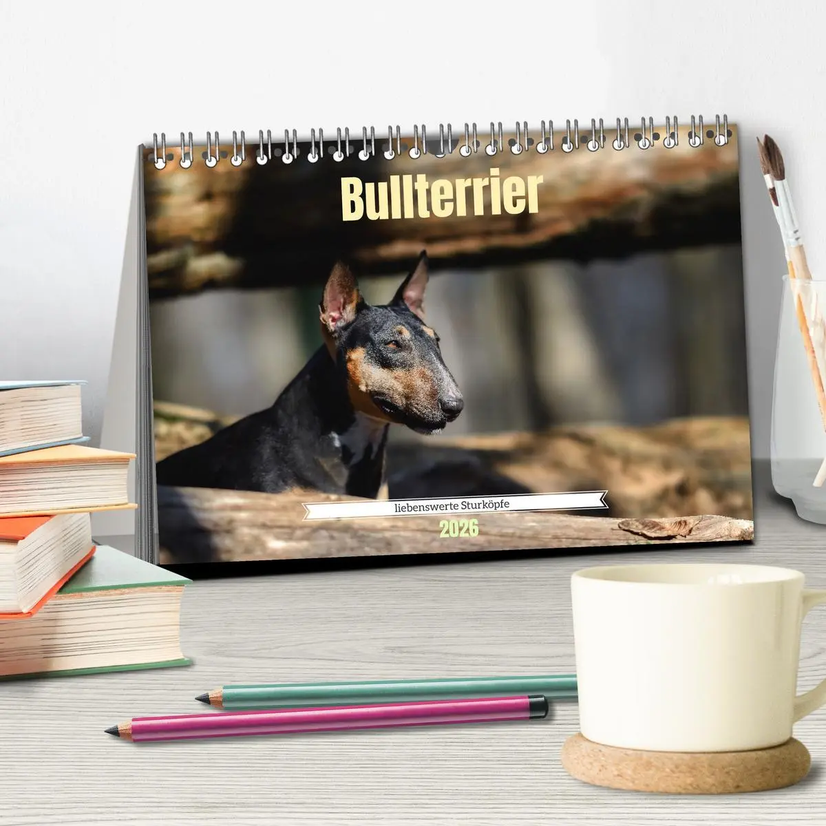 Bild: 9783457321355 | Bullterrier, liebenswerte Sturköpfe (Tischkalender 2026 DIN A5...
