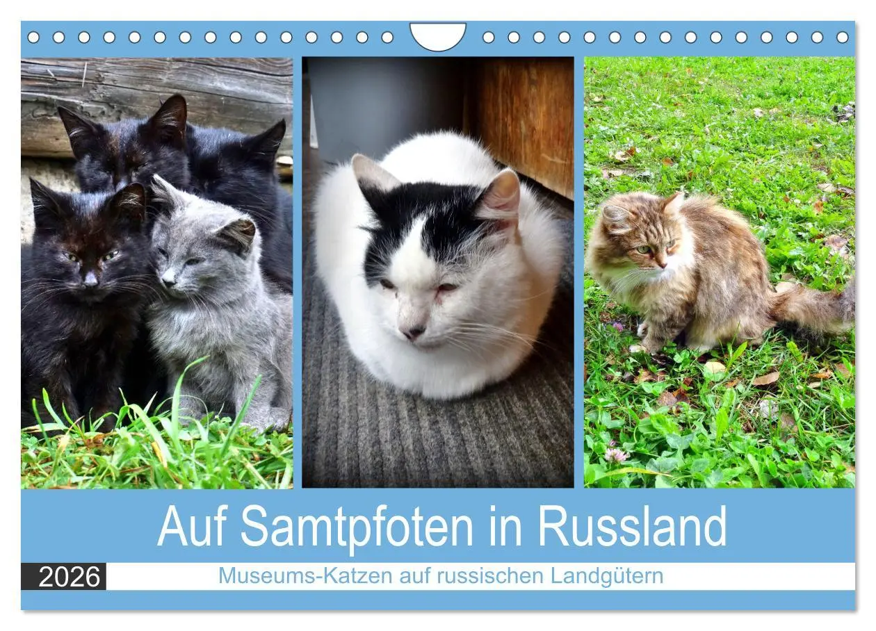 Cover: 9783457631355 | Auf Samtpfoten in Russland - Museums-Katzen auf russischen...