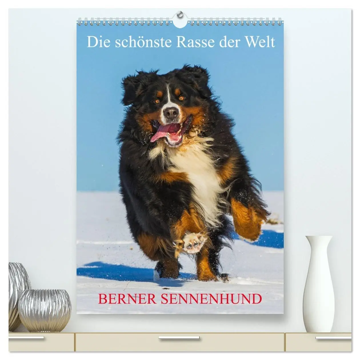 Cover: 9783516411355 | Die schönste Rasse der Welt - Berner Sennenhund (hochwertiger...
