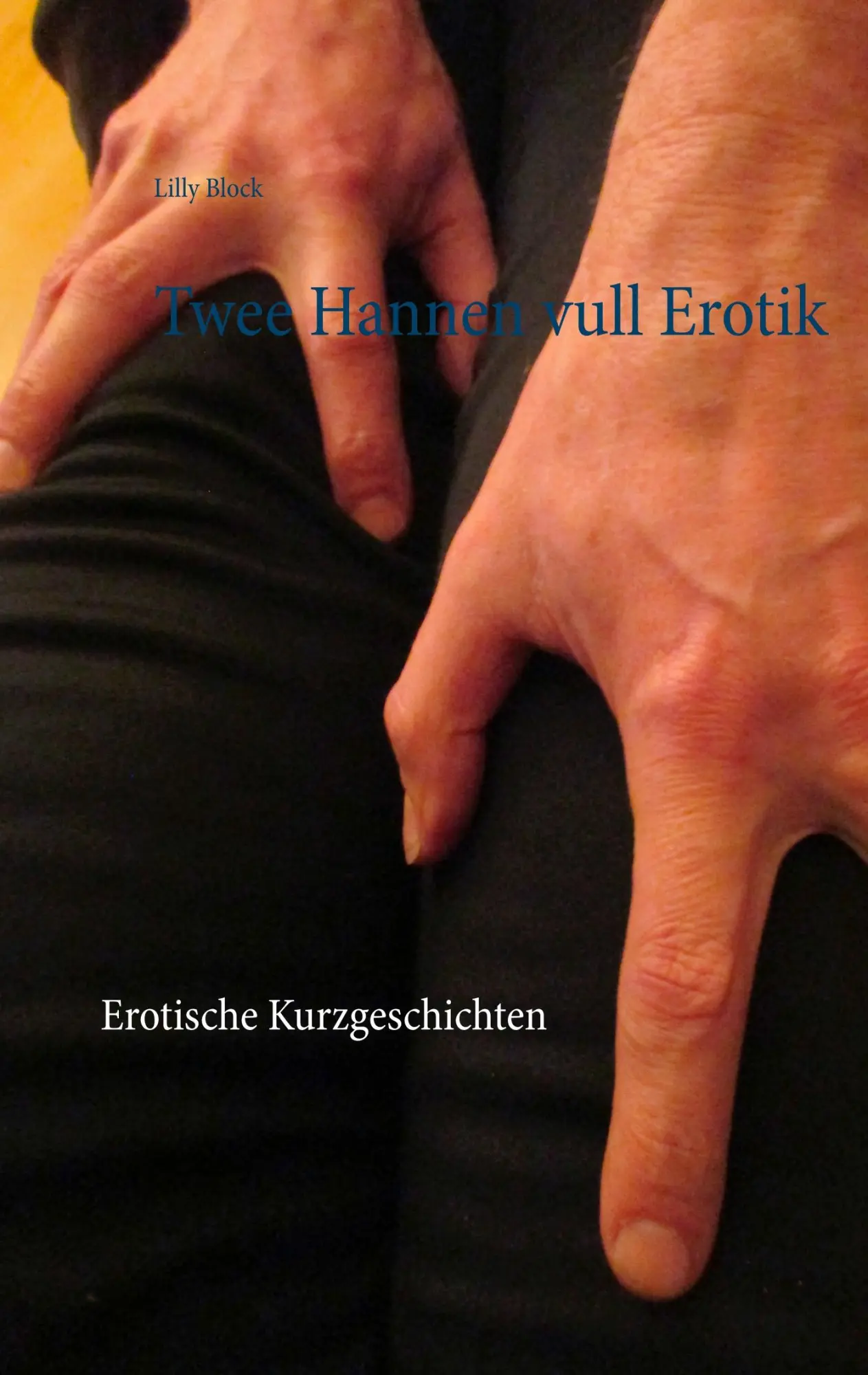 Cover: 9783748171355 | Twee Hannen vull Erotik | Erotische Kurzgeschichten | Lilly Block