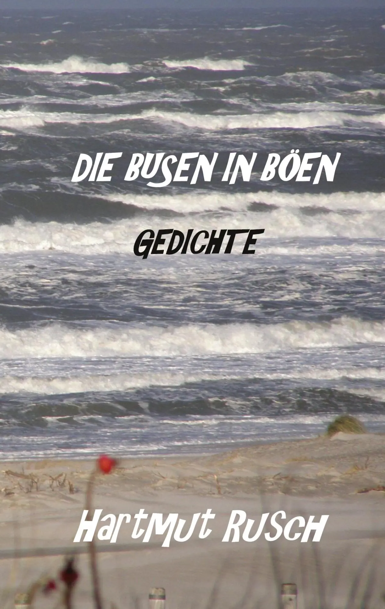 Die Busen in Böen: Gedichte
