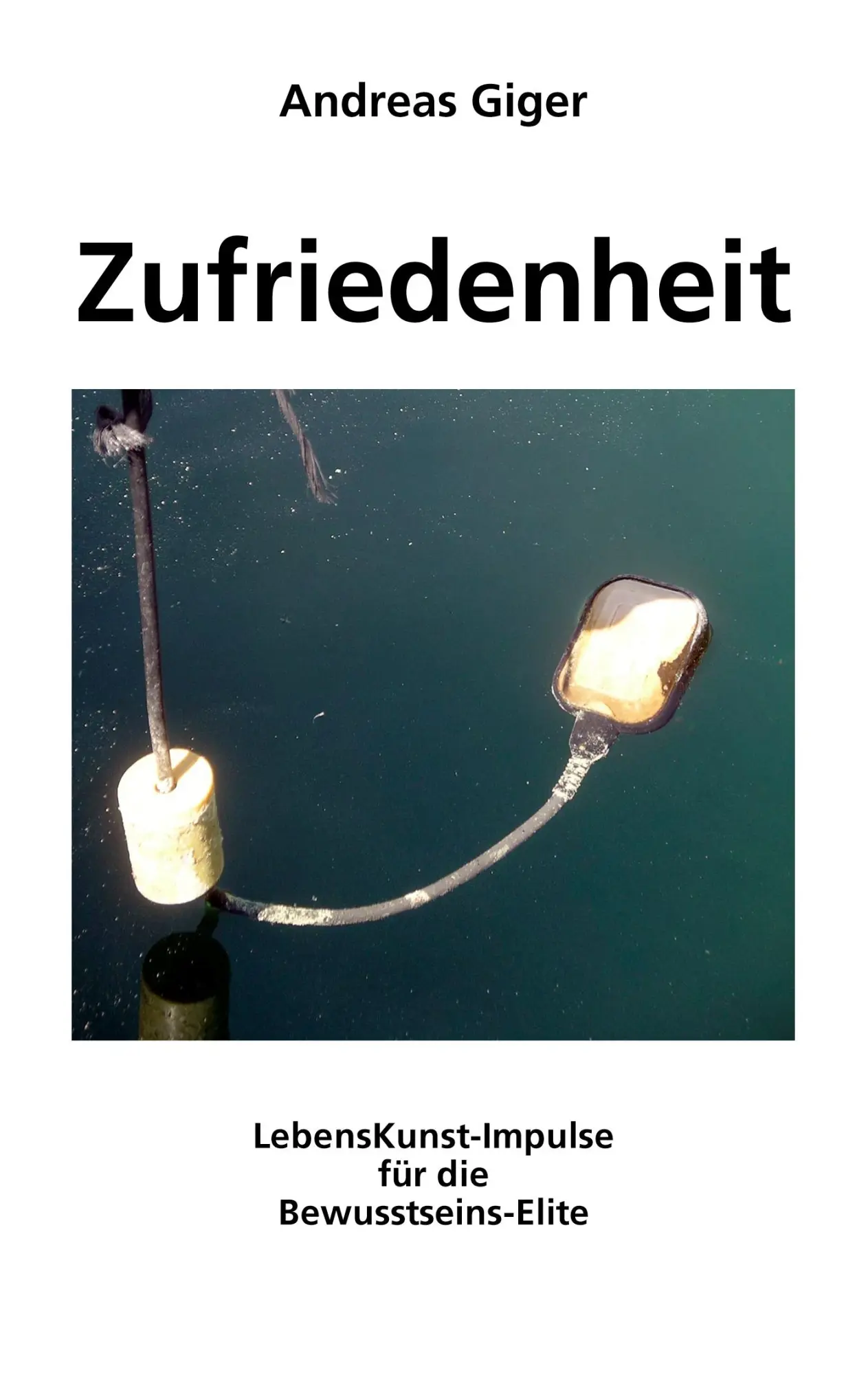 Cover: 9783833451355 | Zufriedenheit | LebensKunst-Impulse für die Bewusstseins-Elite | Giger