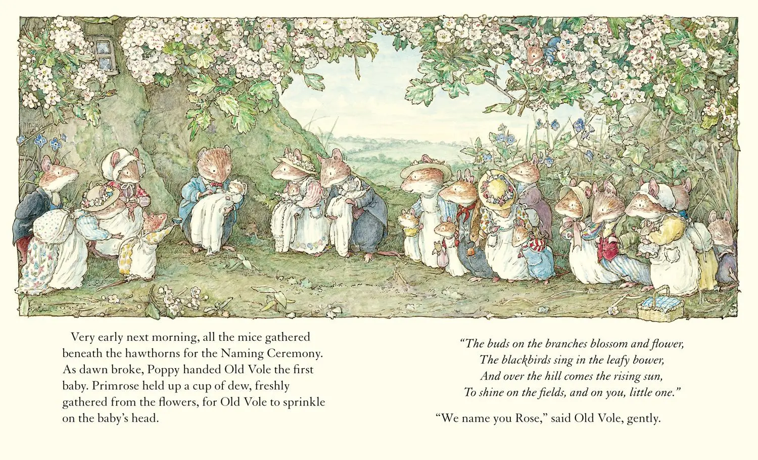 Bild: 9780007461455 | Adventures in Brambly Hedge | Jill Barklem | Box | Englisch | 2016