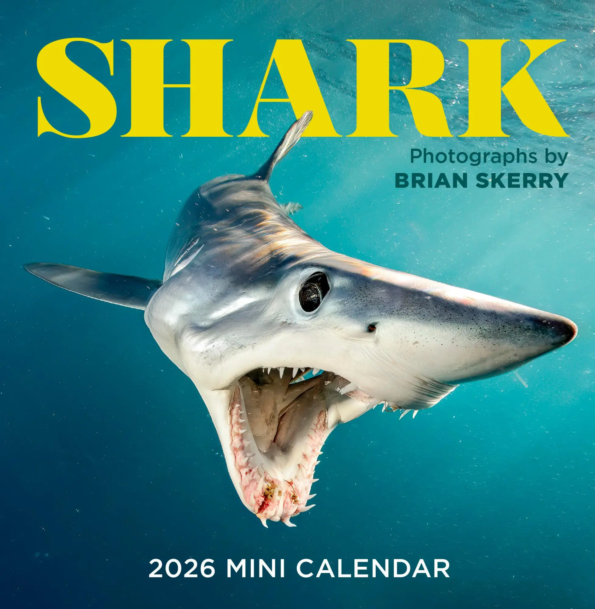 Cover: 9781523531455 | Shark Mini Wall Calendar 2026 | Brian Skerry (u. a.) | Kalender | 2026