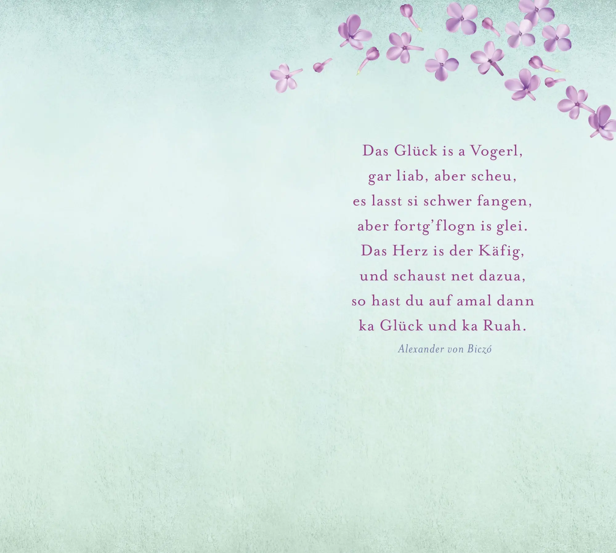Bild: 9783453421455 | Die Fliedertochter | Roman | Teresa Simon | Taschenbuch | 496 S.