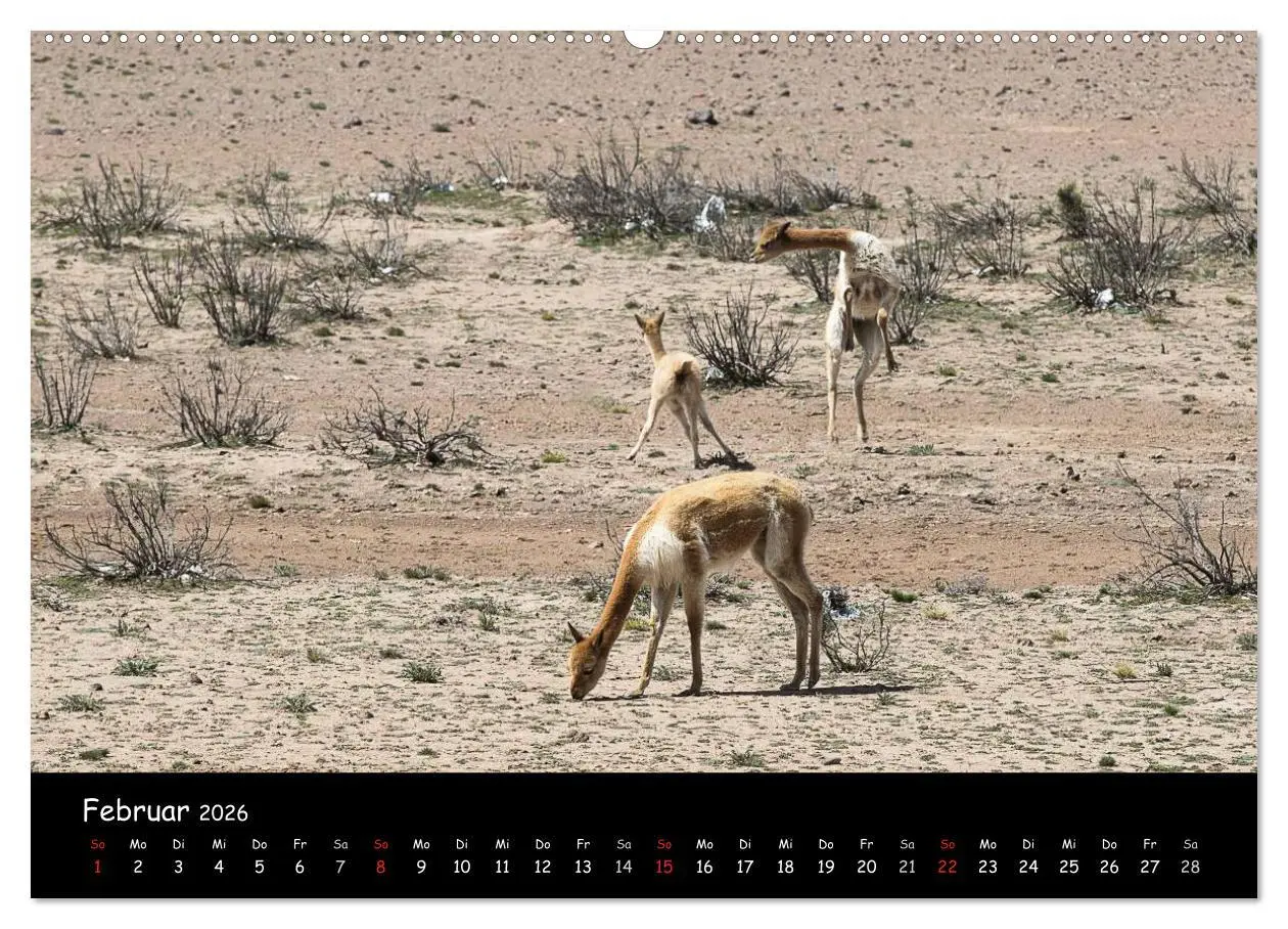 Bild: 9783516021455 | Traumziel Peru (Wandkalender 2026 DIN A2 quer), CALVENDO...