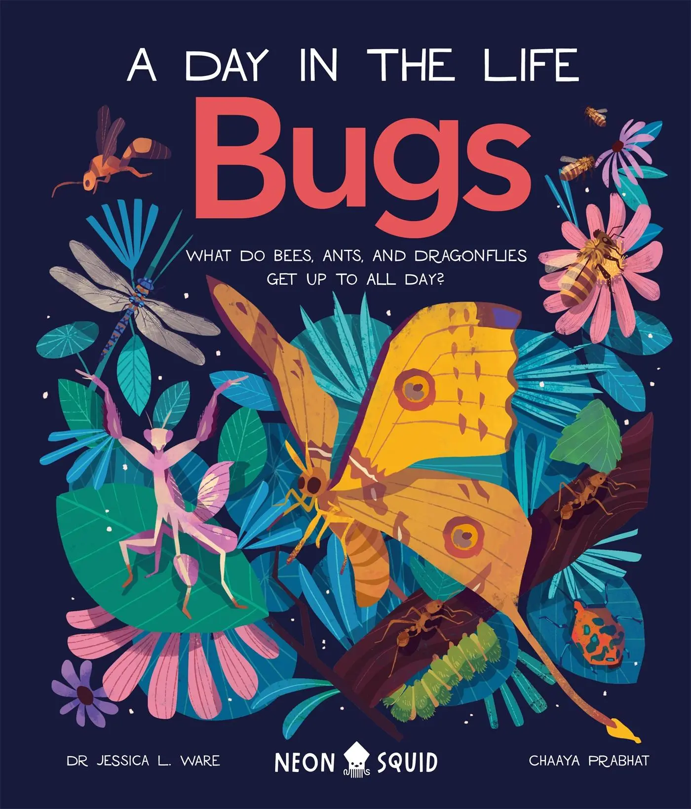 Cover: 9781838991555 | Bugs (A Day in the Life) | Jessica L. Ware (u. a.) | Buch | Gebunden