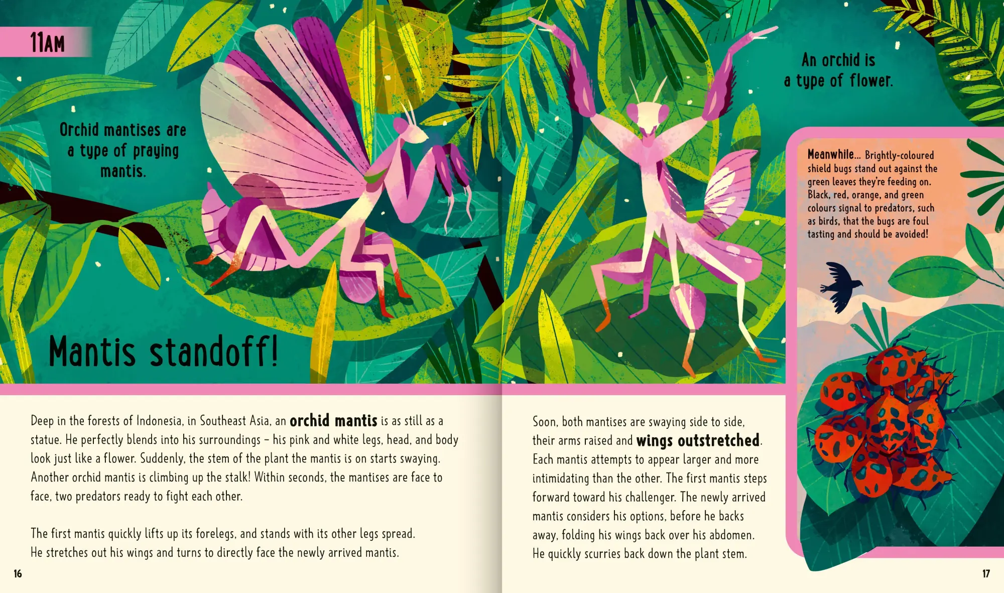 Bild: 9781838991555 | Bugs (A Day in the Life) | Jessica L. Ware (u. a.) | Buch | Gebunden