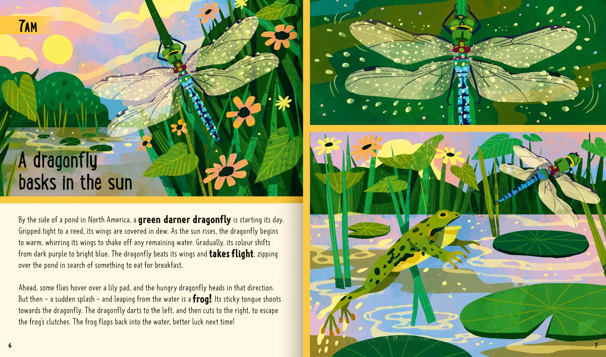 Bild: 9781838991555 | Bugs (A Day in the Life) | Jessica L. Ware (u. a.) | Buch | Gebunden