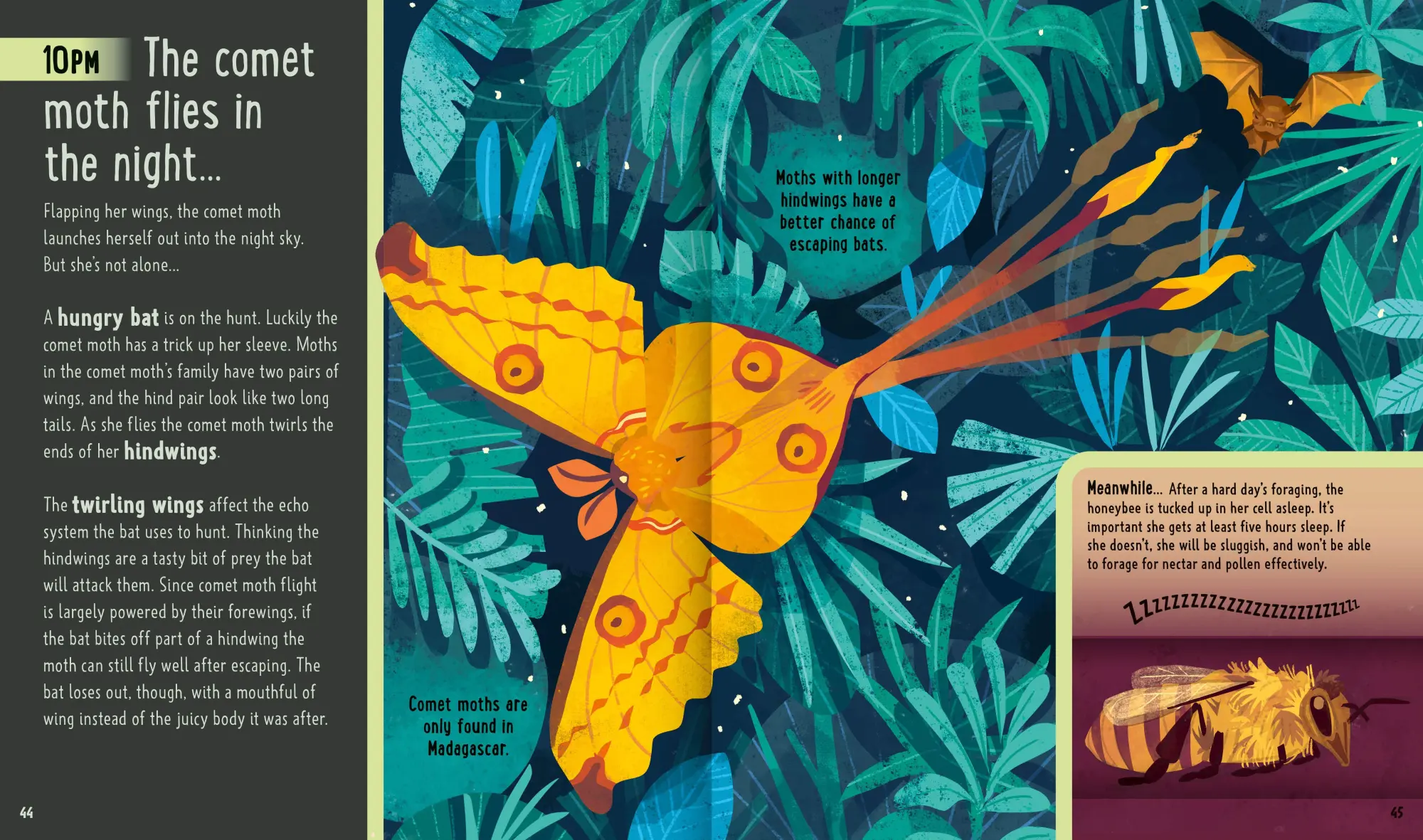 Bild: 9781838991555 | Bugs (A Day in the Life) | Jessica L. Ware (u. a.) | Buch | Gebunden