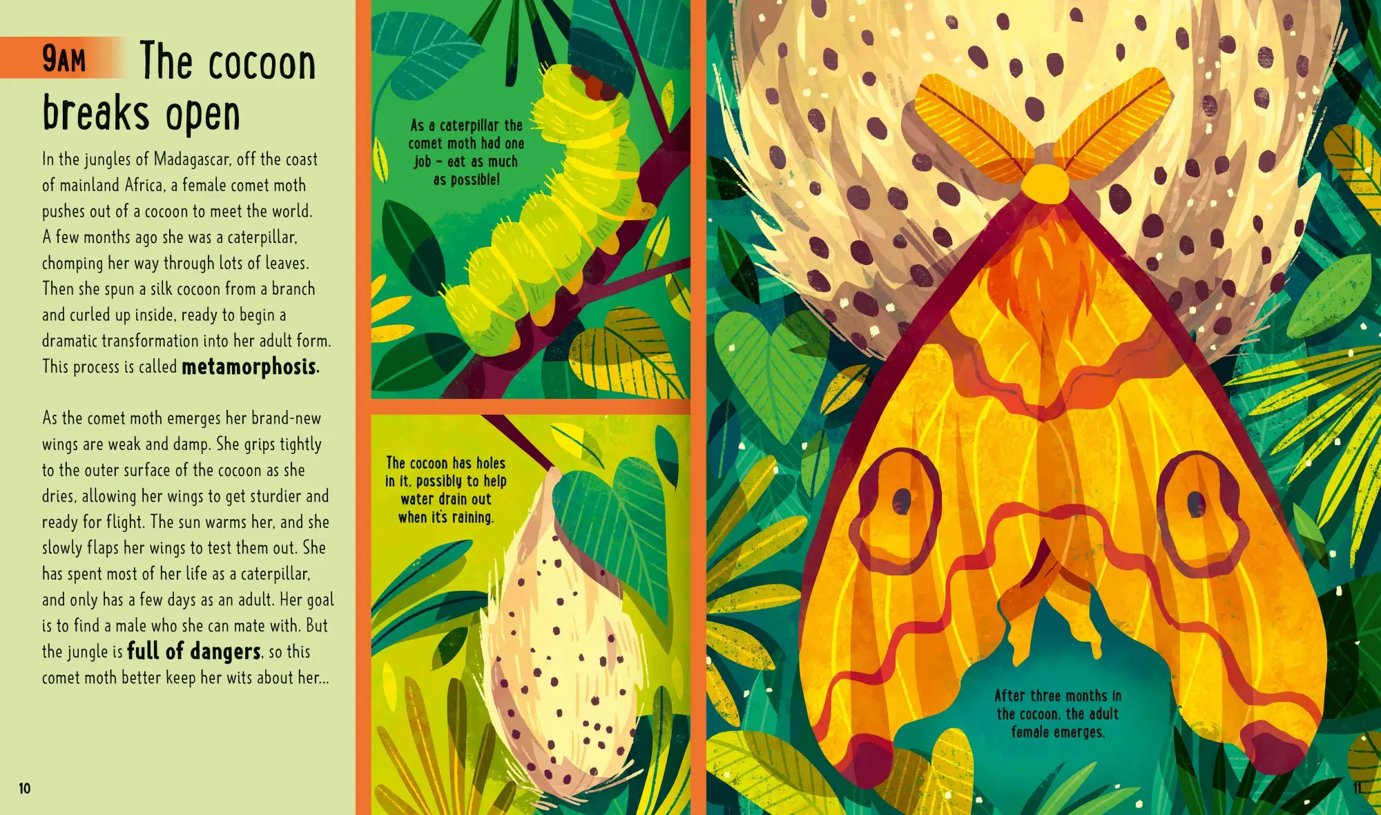 Bild: 9781838991555 | Bugs (A Day in the Life) | Jessica L. Ware (u. a.) | Buch | Gebunden