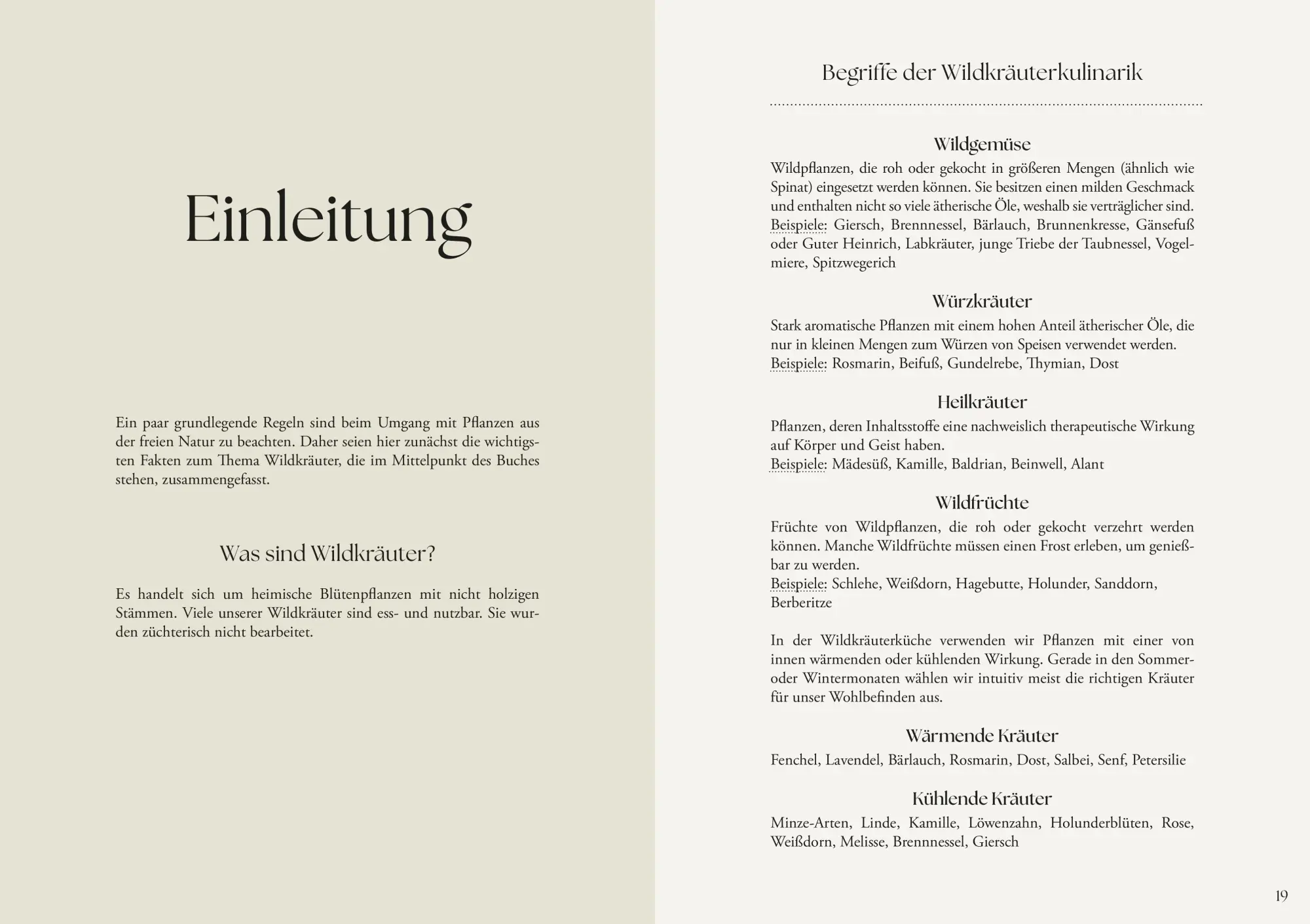 Bild: 9783702511555 | Alles im Grünen | Alexandra Klein | Buch | 248 S. | Deutsch | 2025