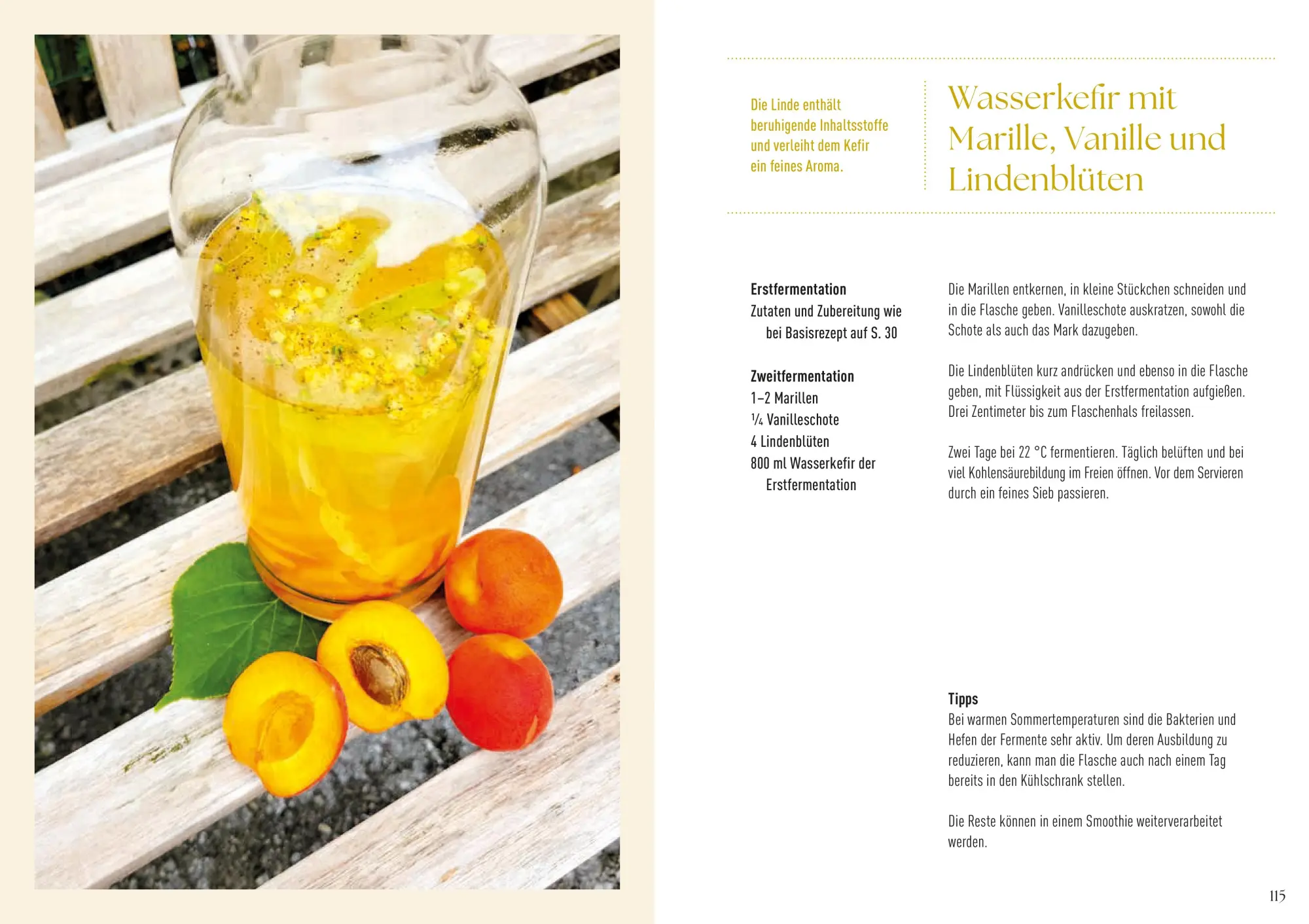Bild: 9783702511555 | Alles im Grünen | Alexandra Klein | Buch | 248 S. | Deutsch | 2025