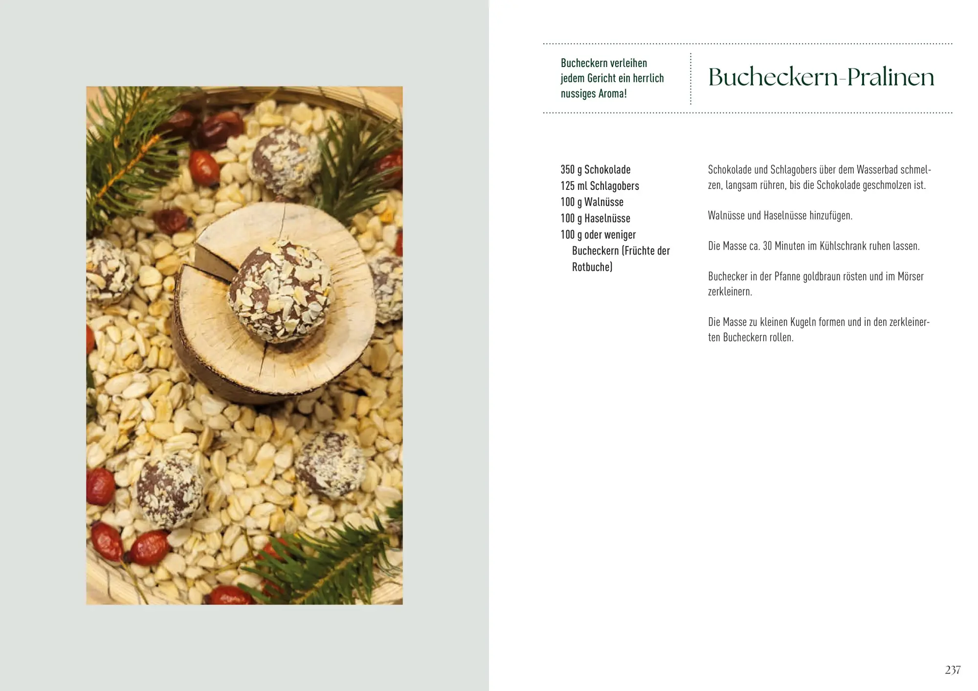 Bild: 9783702511555 | Alles im Grünen | Alexandra Klein | Buch | 248 S. | Deutsch | 2025