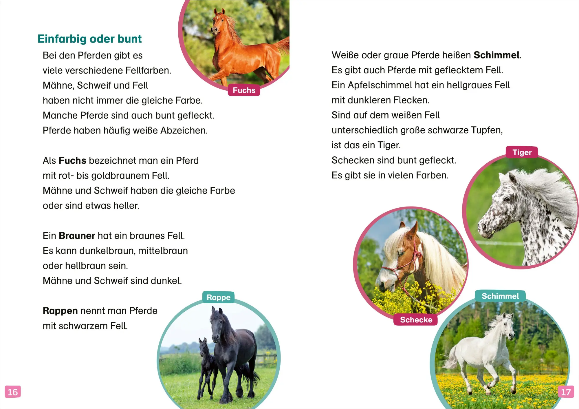 Bild: 9783788681555 | WAS IST WAS Erstes Lesen. Pferde und Ponys | Christina Braun | Buch