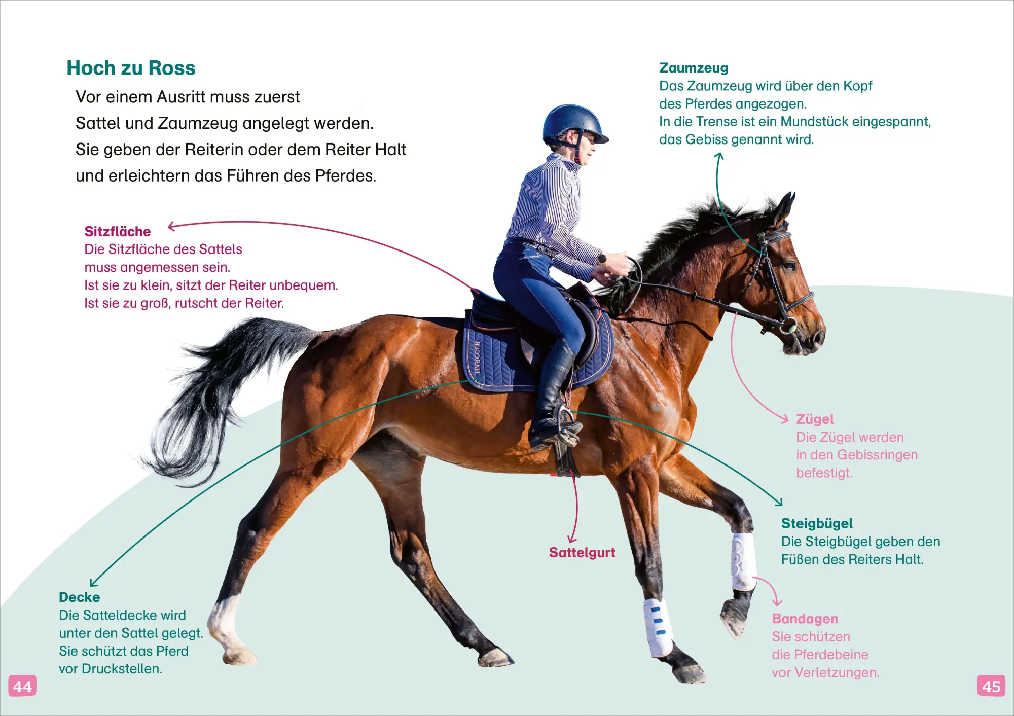 Bild: 9783788681555 | WAS IST WAS Erstes Lesen. Pferde und Ponys | Christina Braun | Buch