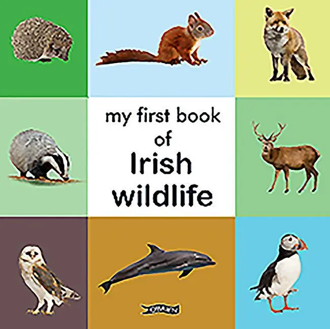 Cover: 9781788491655 | My First Book of Irish Wildlife | Buch | First Steps | Papp-Bilderbuch