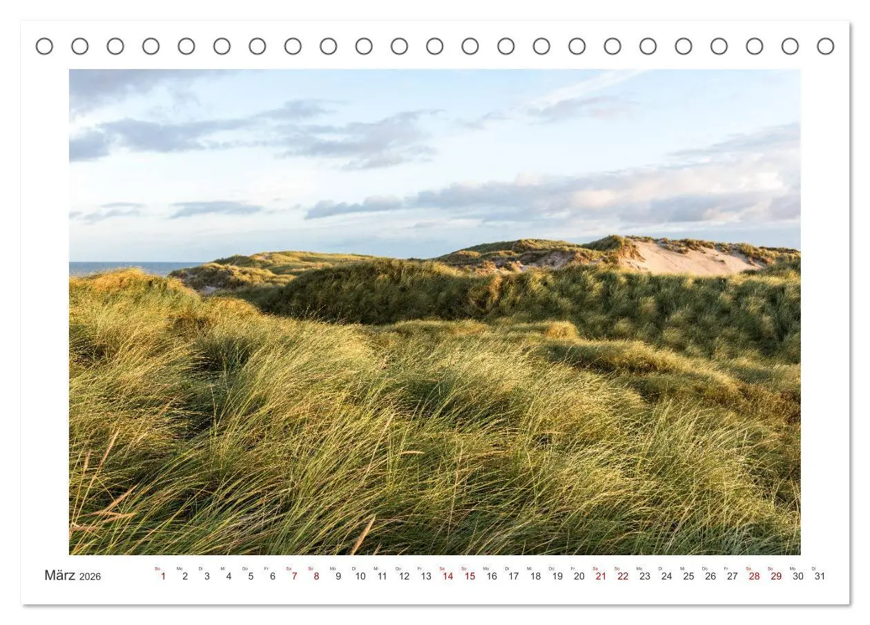 Bild: 9783457841655 | Dänemark - Phototravellers Sehnsuchtskalender (Tischkalender 2026...