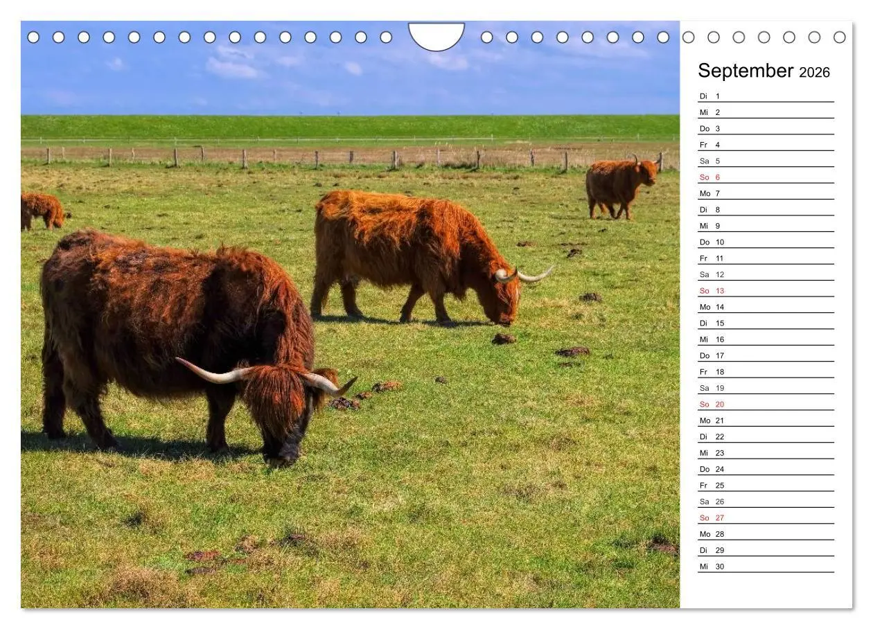 Bild: 9783516001655 | Langeoog - Schönste Insel Ostfrieslands (Wandkalender 2026 DIN A4...
