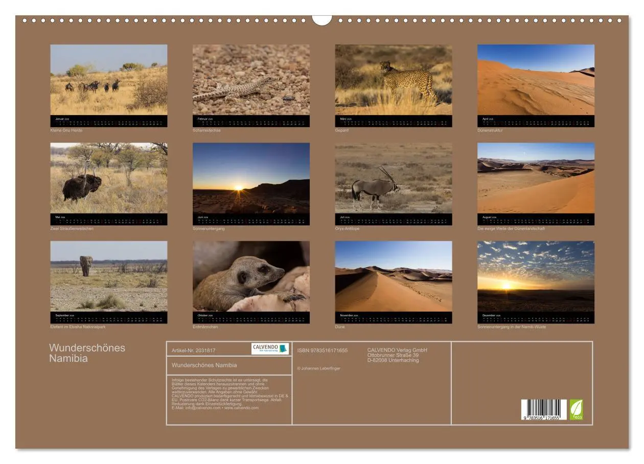 Bild: 9783516171655 | Wunderschönes Namibia (Wandkalender 2026 DIN A2 quer), CALVENDO...