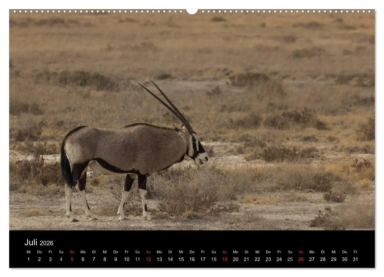 Bild: 9783516171655 | Wunderschönes Namibia (Wandkalender 2026 DIN A2 quer), CALVENDO...