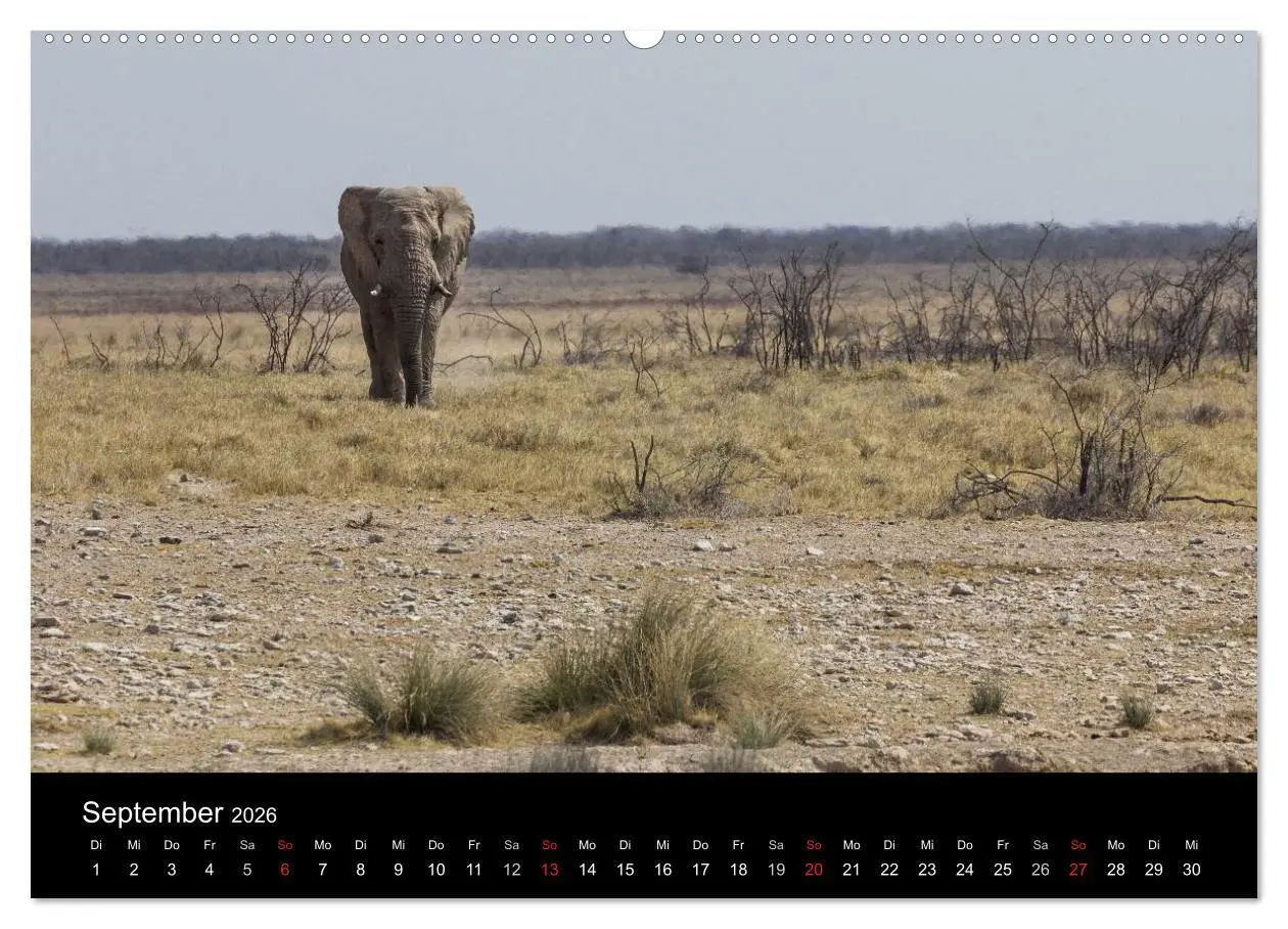 Bild: 9783516171655 | Wunderschönes Namibia (Wandkalender 2026 DIN A2 quer), CALVENDO...