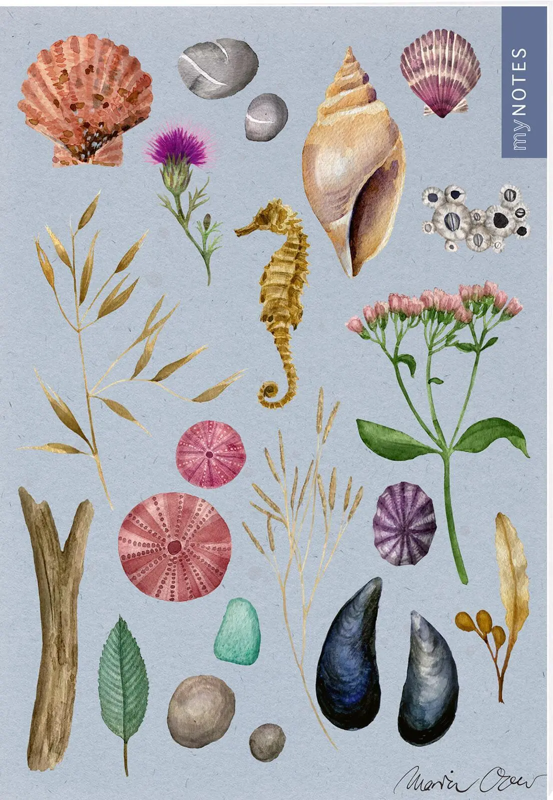 Cover: 4014489131755 | myNOTES Papeterie: Notizheft Naturschätze | Muscheln &amp; Meer | Over