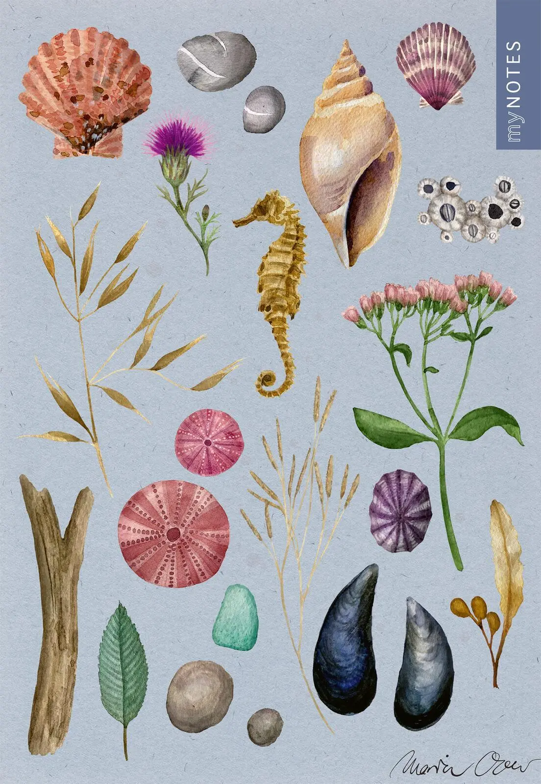 Bild: 4014489131755 | myNOTES Papeterie: Notizheft Naturschätze | Muscheln &amp; Meer | Over