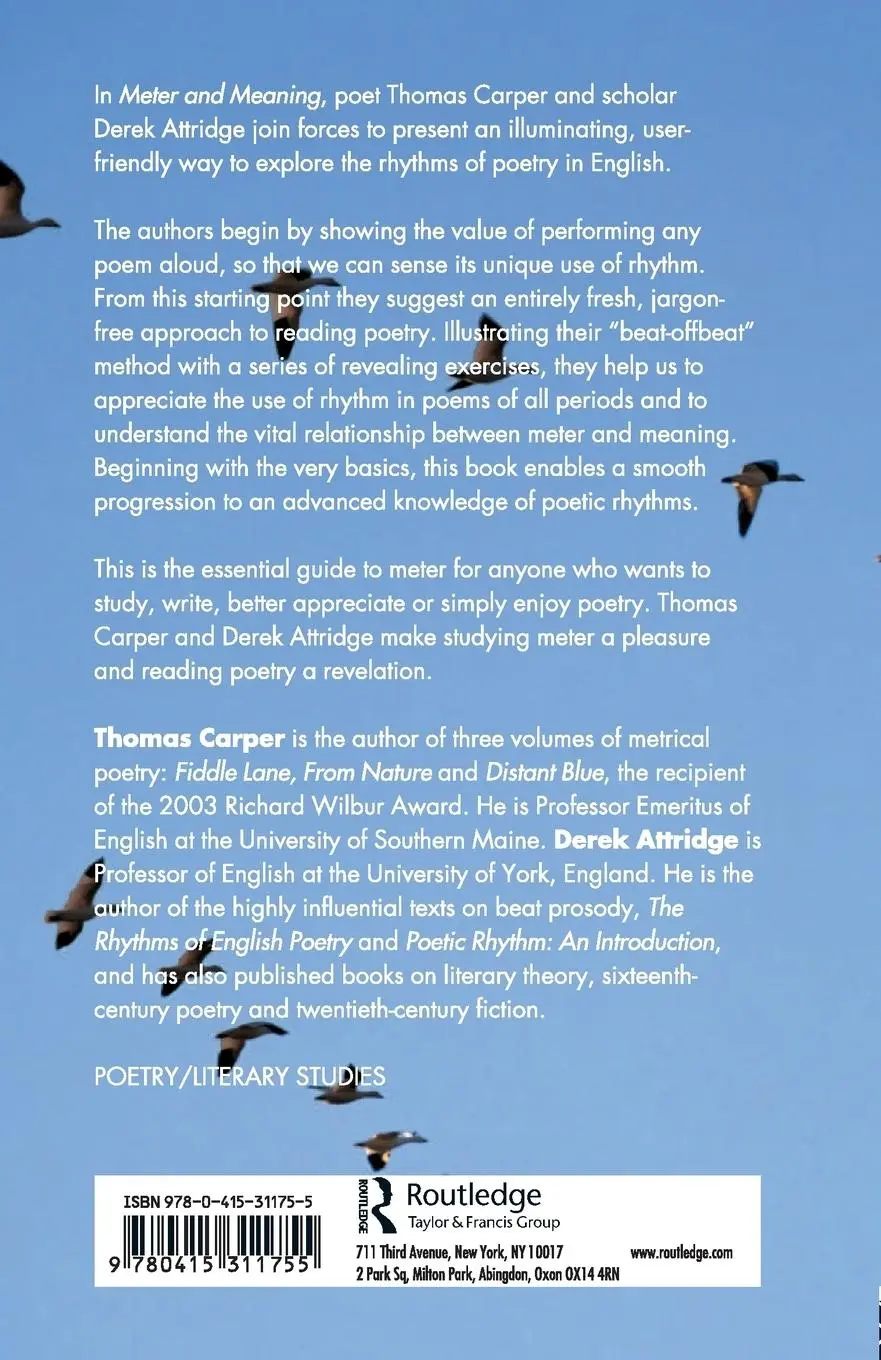 Rückseite: 9780415311755 | Meter and Meaning | An Introduction to Rhythm in Poetry | Taschenbuch