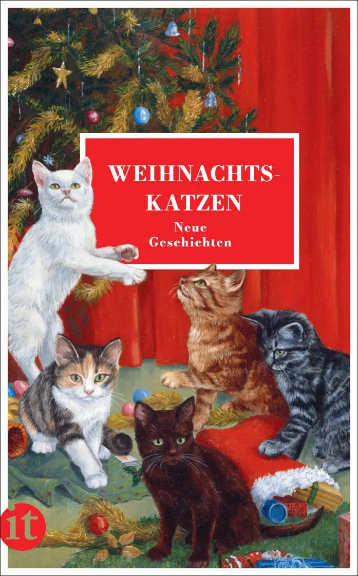 Cover: 9783458681755 | Weihnachtskatzen | Neue Geschichten | Gesine Dammel | Taschenbuch
