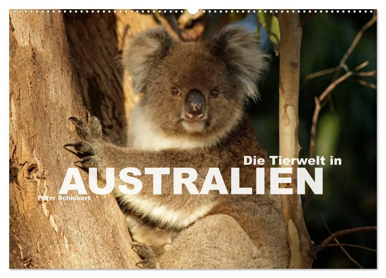 Cover: 9783516091755 | Die Tierwelt in Australien (Wandkalender 2026 DIN A2 quer),...