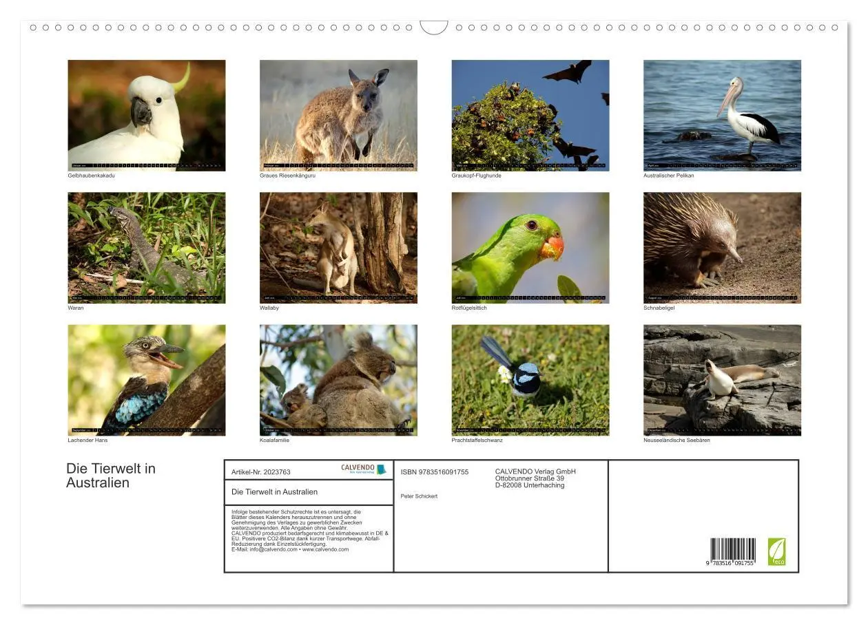 Bild: 9783516091755 | Die Tierwelt in Australien (Wandkalender 2026 DIN A2 quer),...