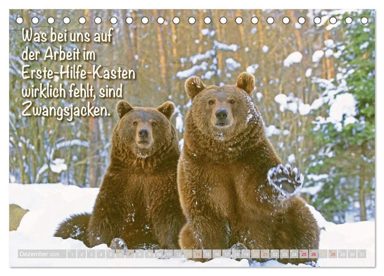 Bild: 9783383881855 | Spaß mit Bären: Edition lustige Tiere (Tischkalender 2025 DIN A5...