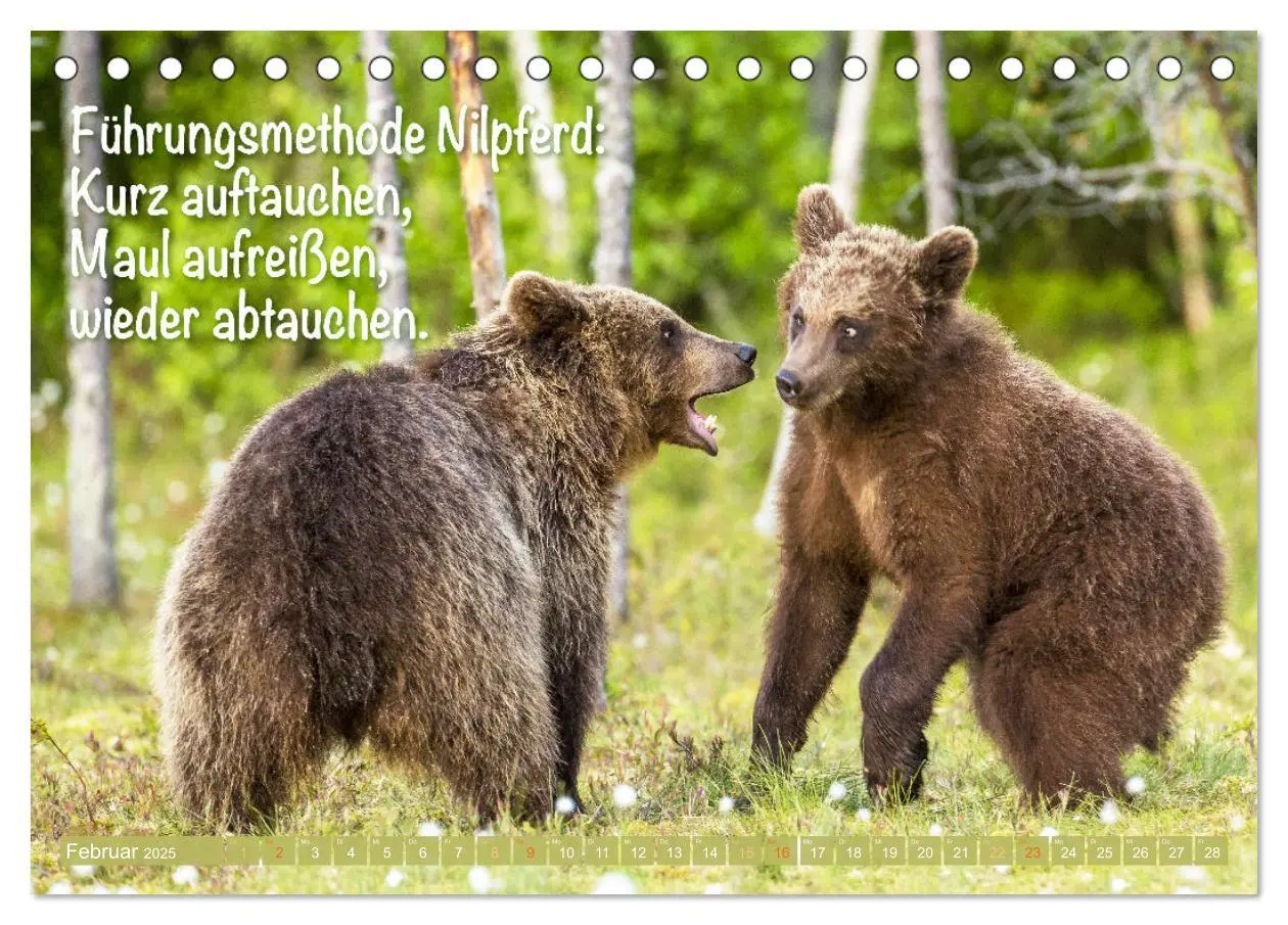 Bild: 9783383881855 | Spaß mit Bären: Edition lustige Tiere (Tischkalender 2025 DIN A5...