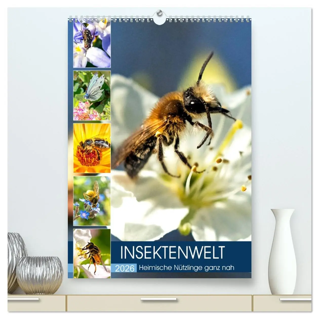 Cover: 9783516391855 | INSEKTENWELT - Heimische Nützlinge ganz nah (hochwertiger Premium...