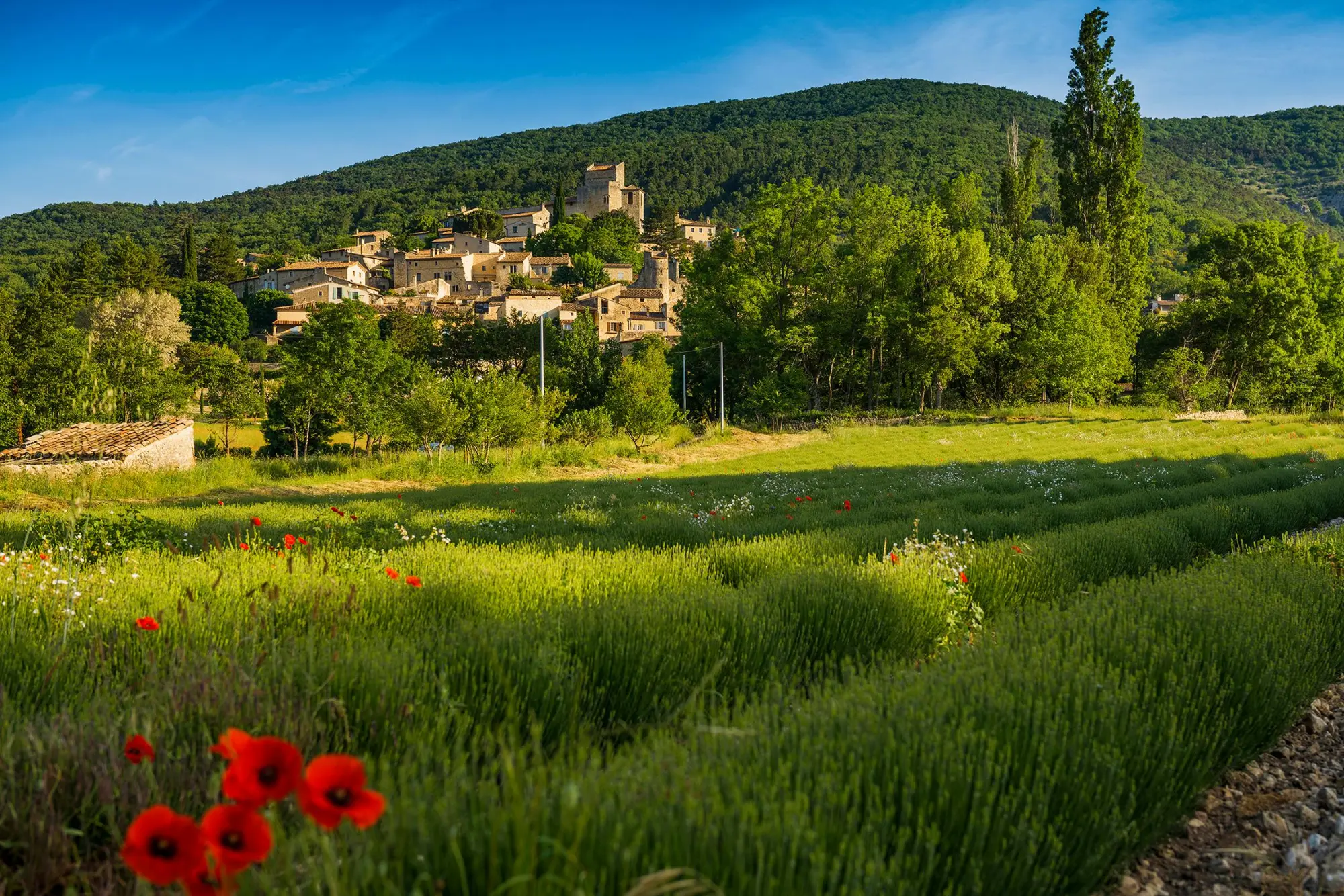 Bild: 9783734331855 | Das Reisebuch Provence mit Cote d'Azur | Felicitas Meyer (u. a.)