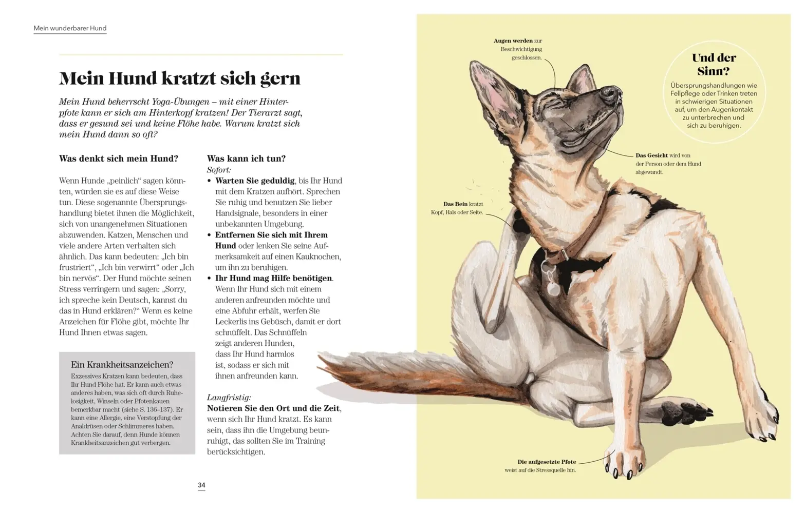 Bild: 9783831041855 | Das denkt dein Hund | Praktische Psychologie für Hundeversteher | Buch