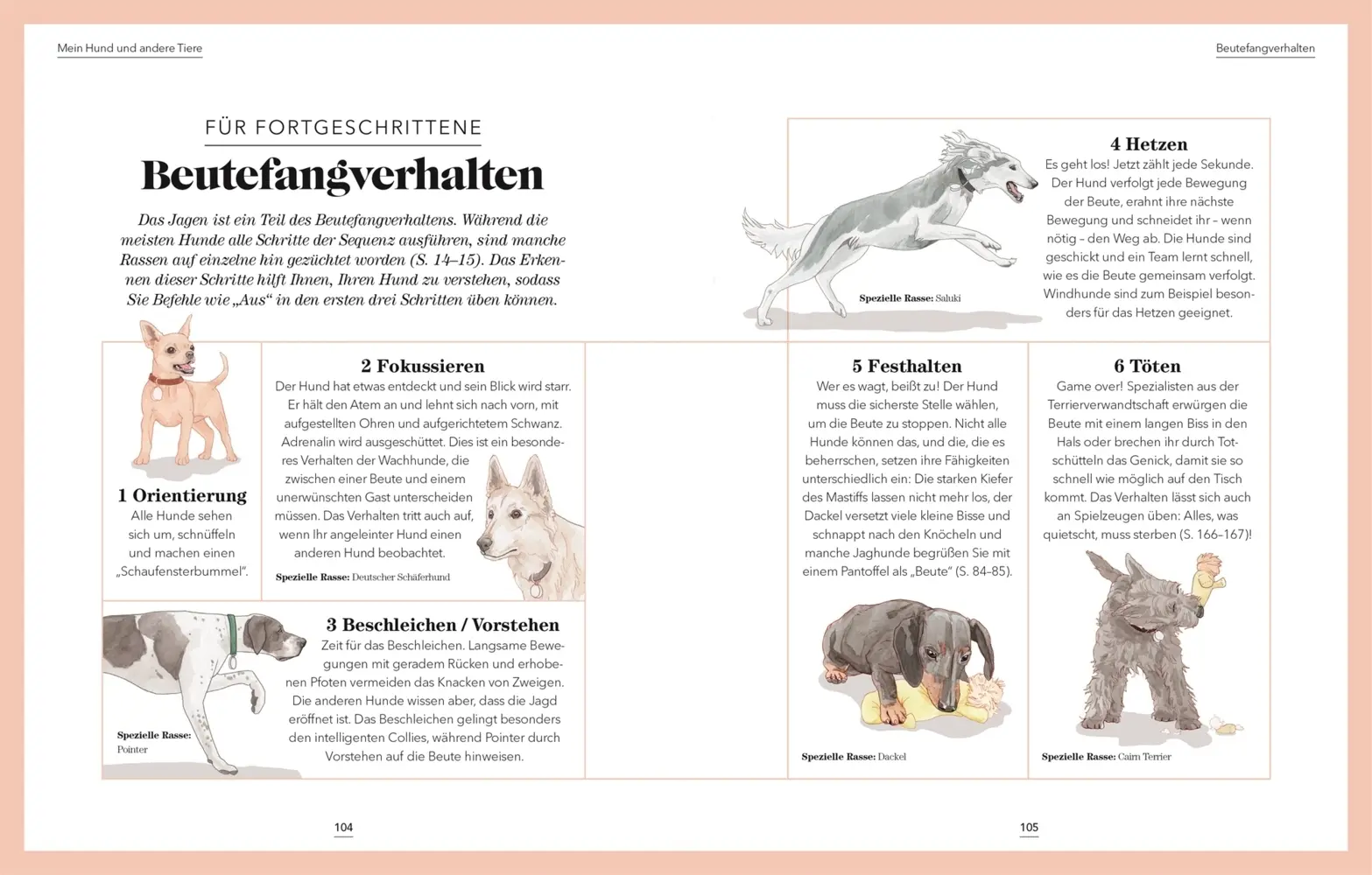 Bild: 9783831041855 | Das denkt dein Hund | Praktische Psychologie für Hundeversteher | Buch