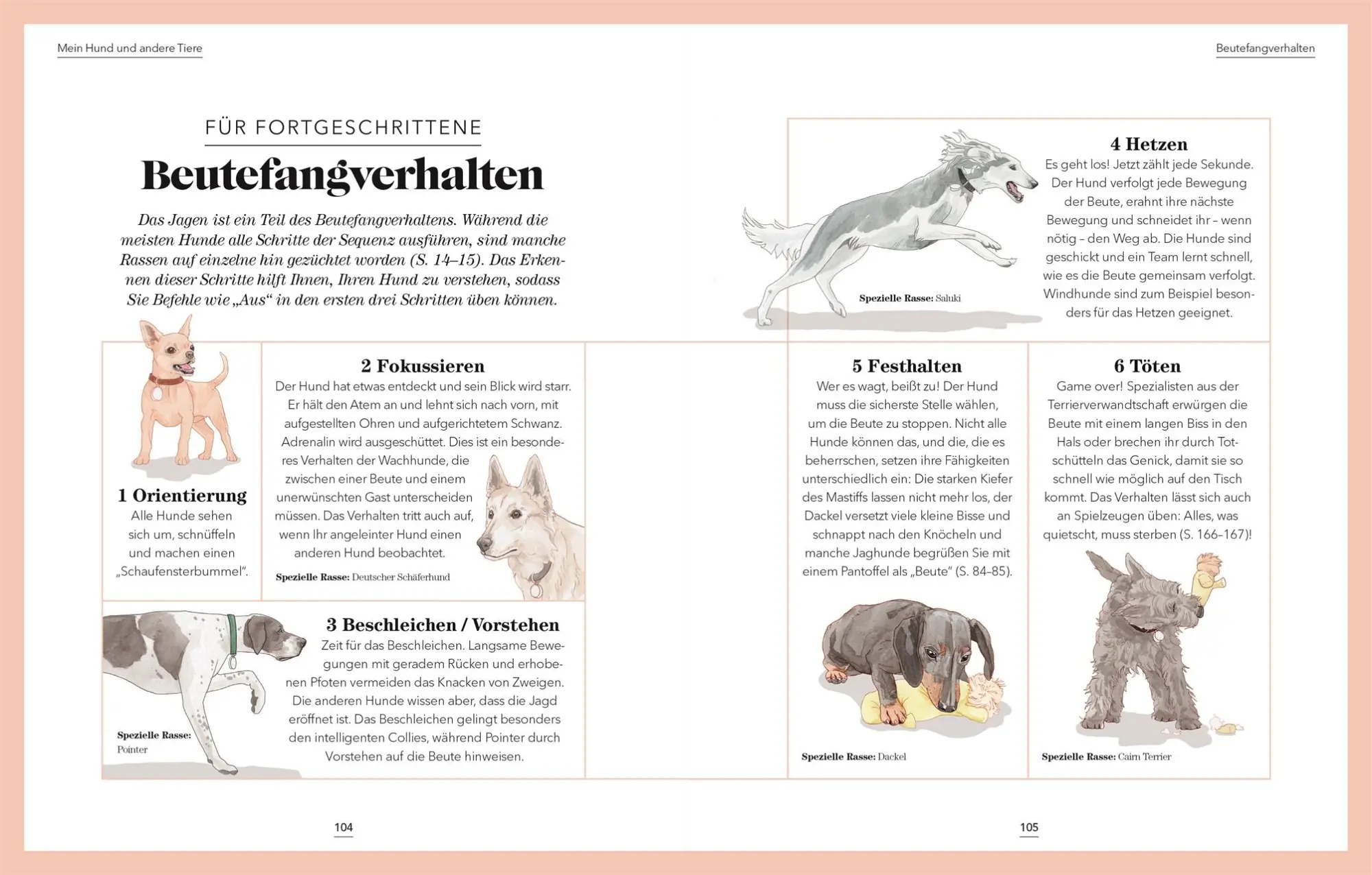 Bild: 9783831041855 | Das denkt dein Hund | Praktische Psychologie für Hundeversteher | Buch