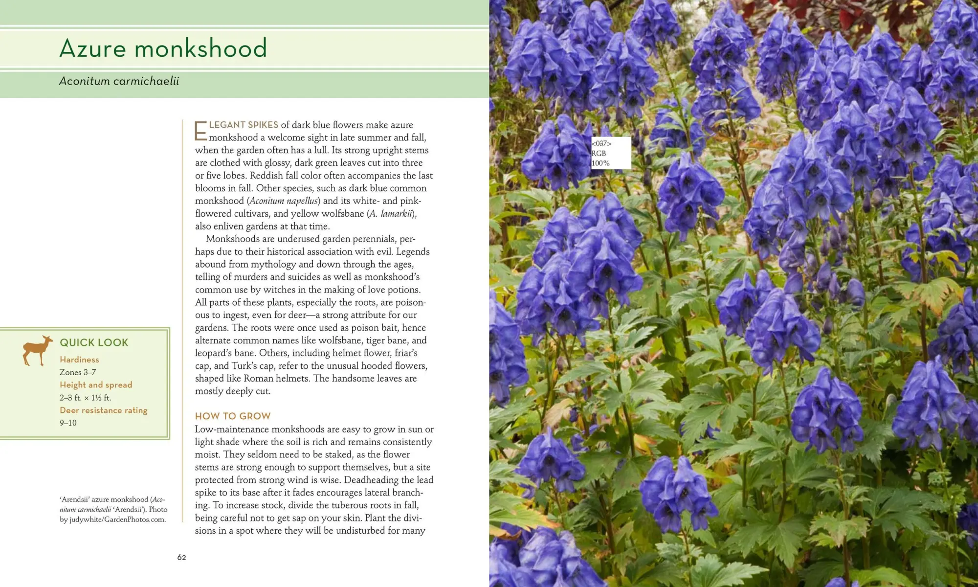 Bild: 9781604691955 | 50 Beautiful Deer-Resistant Plants | Ruth Rogers Clausen | Taschenbuch