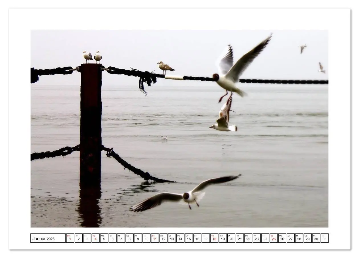 Bild: 9783516071955 | Nordseefeeling - Cuxhaven (Tischkalender 2026 DIN A5 quer),...