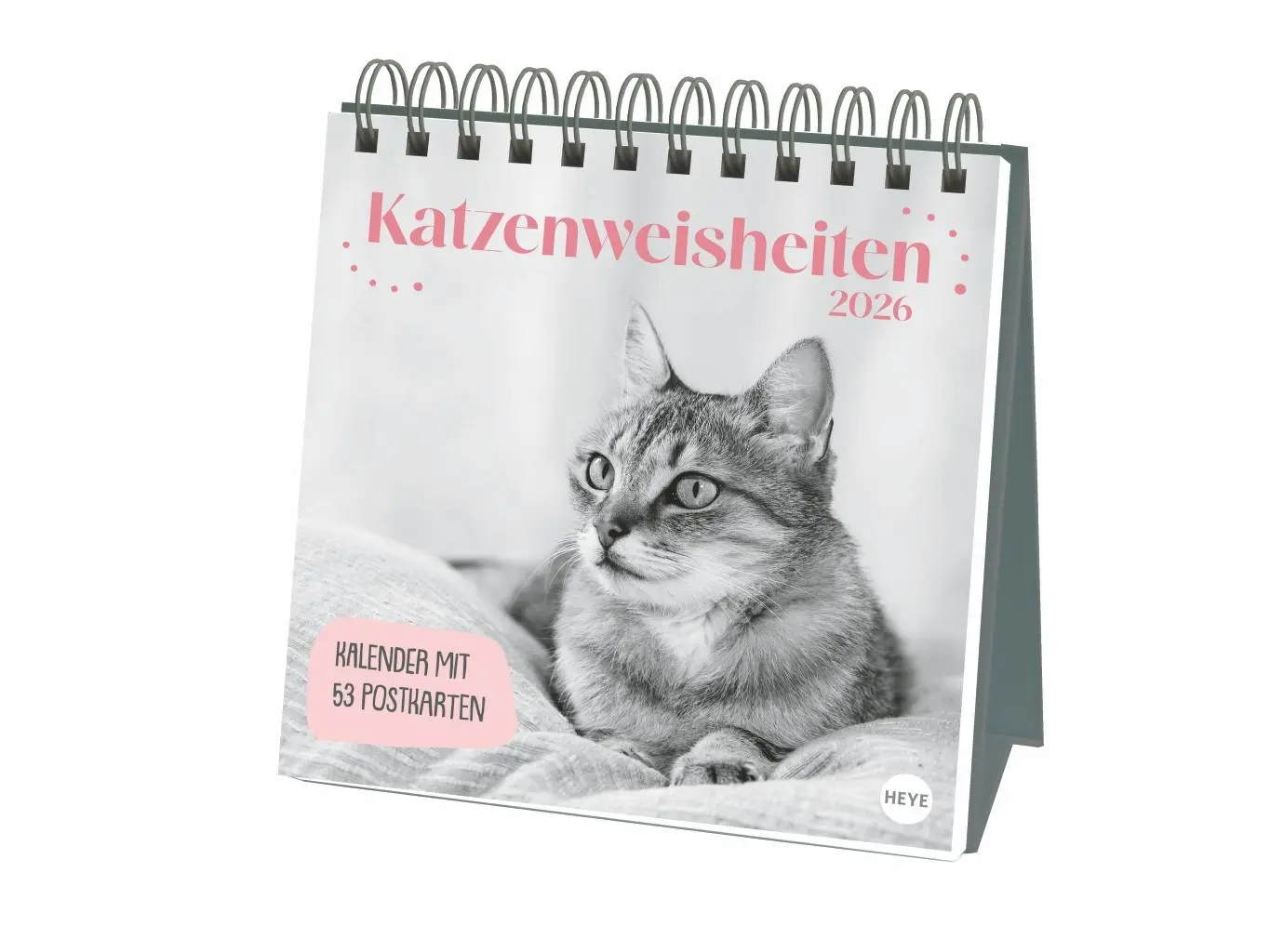 Cover: 9783756411955 | Katzen Weisheiten Premium-Postkartenkalender 2026 | Kalender | 54 S.