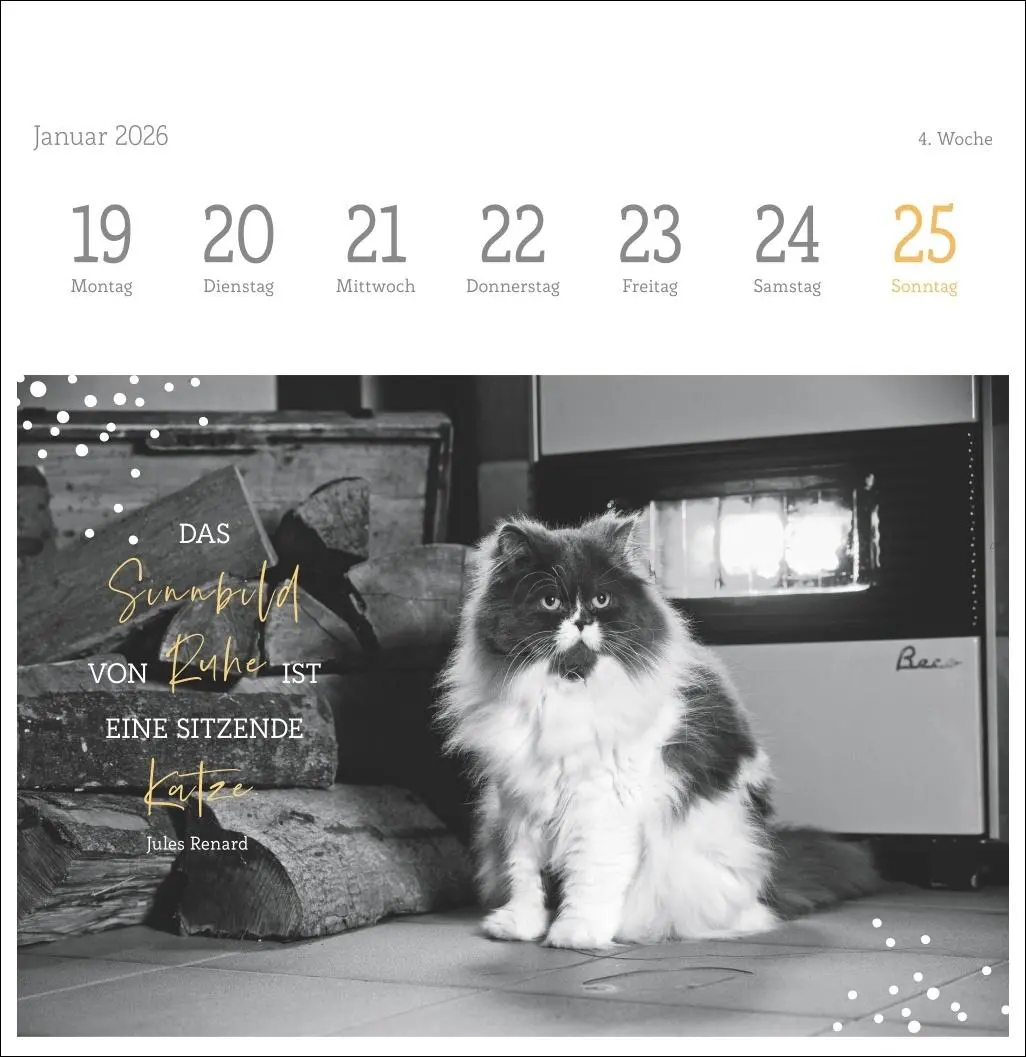 Bild: 9783756411955 | Katzen Weisheiten Premium-Postkartenkalender 2026 | Kalender | 54 S.