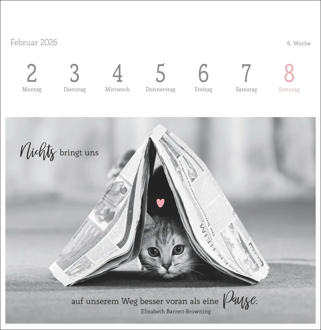 Bild: 9783756411955 | Katzen Weisheiten Premium-Postkartenkalender 2026 | Kalender | 54 S.