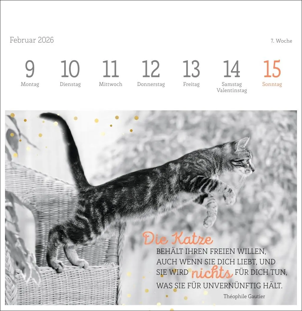 Bild: 9783756411955 | Katzen Weisheiten Premium-Postkartenkalender 2026 | Kalender | 54 S.