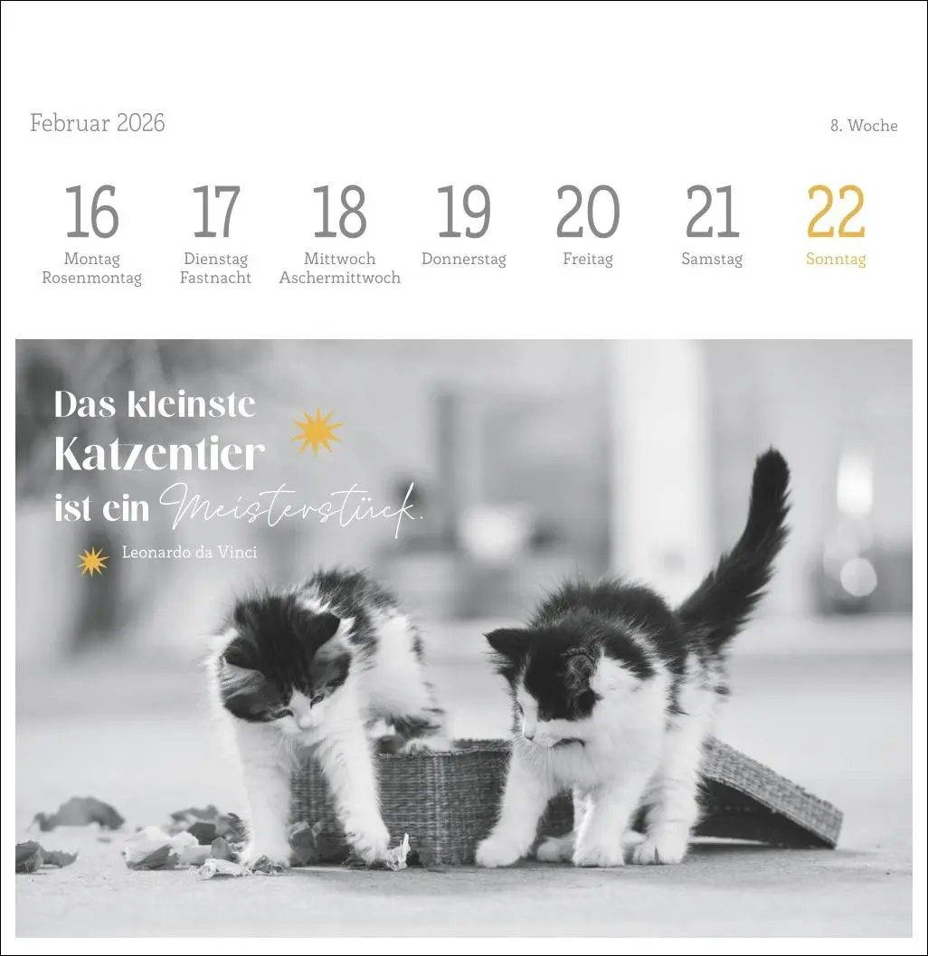 Bild: 9783756411955 | Katzen Weisheiten Premium-Postkartenkalender 2026 | Kalender | 54 S.