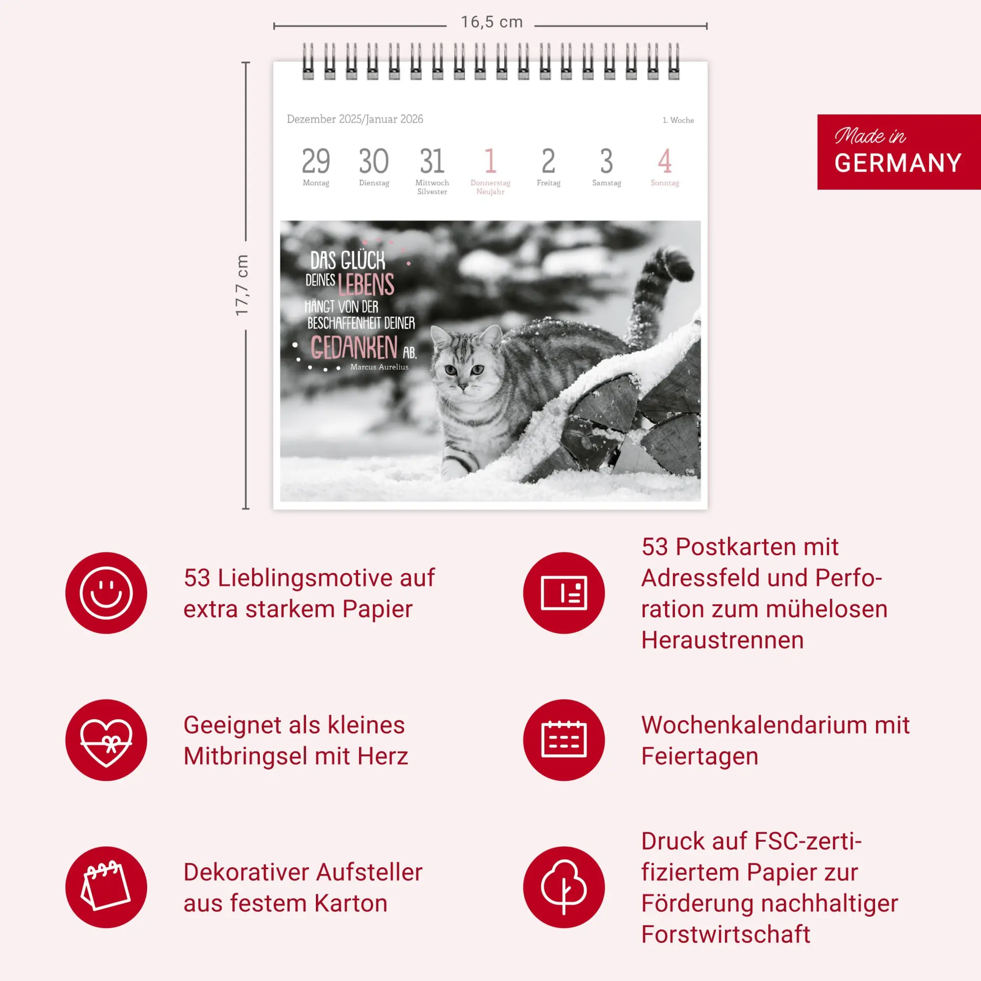 Bild: 9783756411955 | Katzen Weisheiten Premium-Postkartenkalender 2026 | Kalender | 54 S.