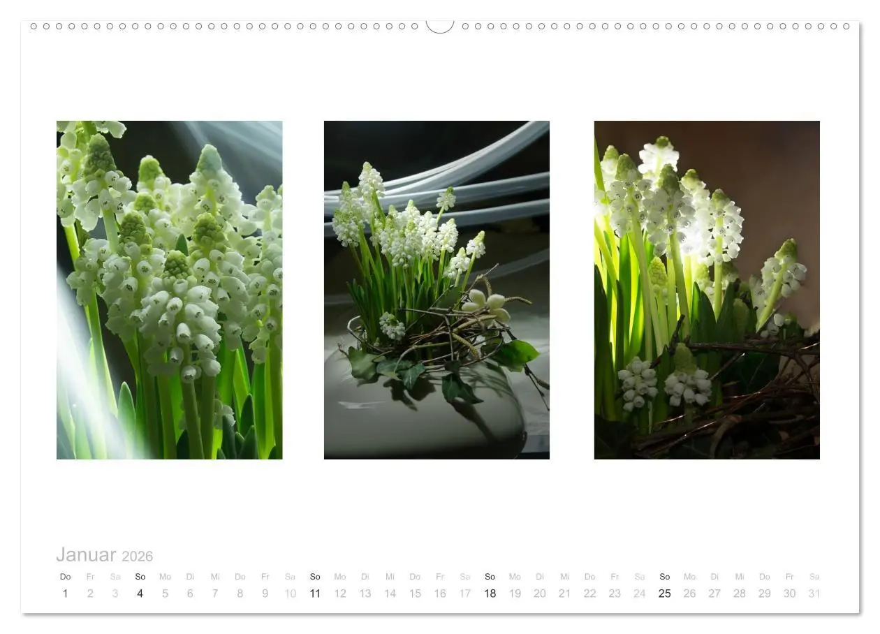 Bild: 9783516102055 | Blumen Trilogien (hochwertiger Premium Wandkalender 2026 DIN A2...