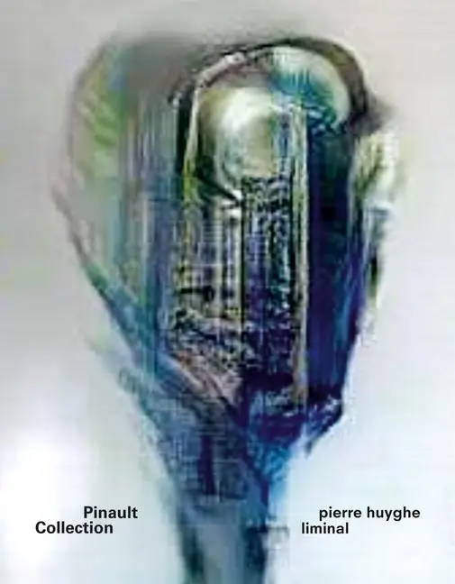 Cover: 9791254632055 | Pierre Huyghe: Liminal | Anne Stenne | Taschenbuch | Englisch | 2024